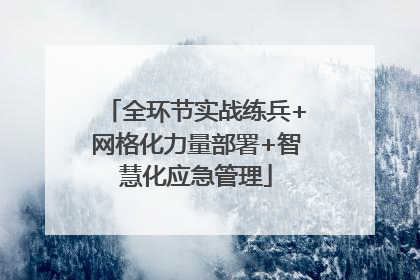 全环节实战练兵+网格化力量部署+智慧化应急管理