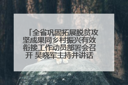 全省巩固拓展脱贫攻坚成果同乡村振兴有效衔接工作动员部署会召开 吴晓军主持并讲话 罗东川作安排部署