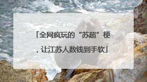 全网疯玩的“苏超”梗，让江苏人数钱到手软