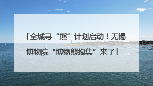 全城寻“熊”计划启动！无锡博物院“博物熊抱集”来了