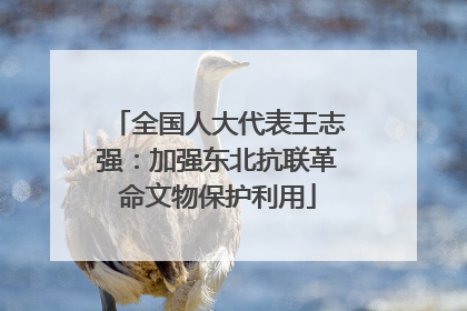 全国人大代表王志强：加强东北抗联革命文物保护利用