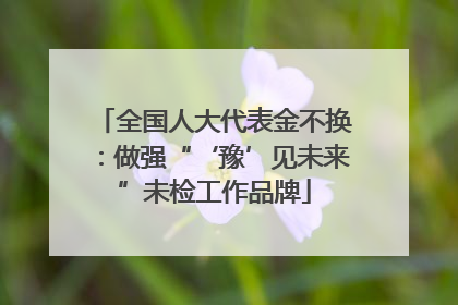 全国人大代表金不换：做强“‘豫’见未来”未检工作品牌