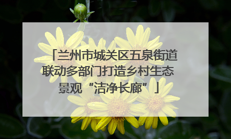 兰州市城关区五泉街道联动多部门打造乡村生态景观“洁净长廊”