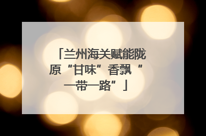 兰州海关赋能陇原“甘味”香飘“一带一路”