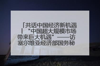 共话中国经济新机遇丨“中国超大规模市场带来巨大机遇”——访塞尔维亚经济部国务秘书尼科利奇