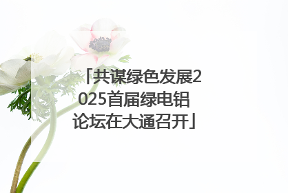 共谋绿色发展2025首届绿电铝论坛在大通召开