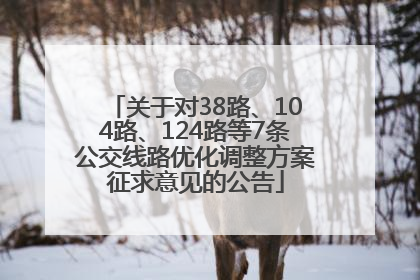 关于对38路、104路、124路等7条公交线路优化调整方案征求意见的公告