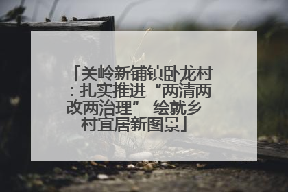 关岭新铺镇卧龙村：扎实推进“两清两改两治理” 绘就乡村宜居新图景