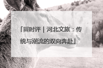 冀时评｜河北文旅：传统与潮流的双向奔赴