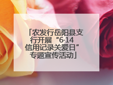 农发行岳阳县支行开展“6·14信用记录关爱日” 专题宣传活动