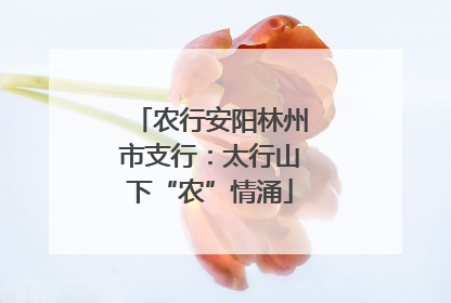 农行安阳林州市支行：太行山下“农”情涌