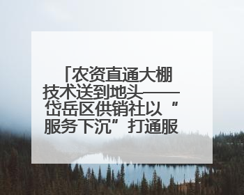 农资直通大棚 技术送到地头——岱岳区供销社以“服务下沉”打通服务“三农”最后一公里