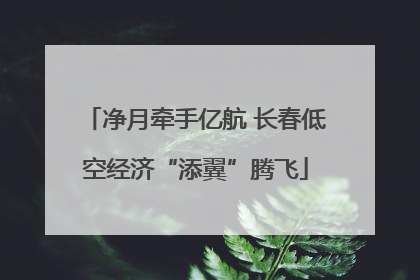 净月牵手亿航 长春低空经济“添翼”腾飞