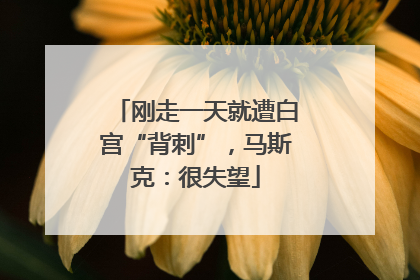 刚走一天就遭白宫“背刺”，马斯克：很失望
