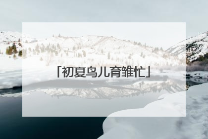 初夏鸟儿育雏忙