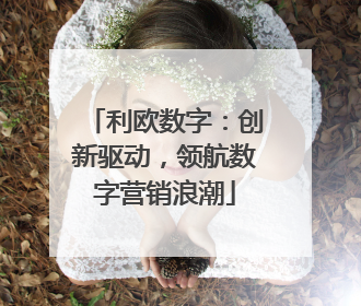 利欧数字：创新驱动，领航数字营销浪潮