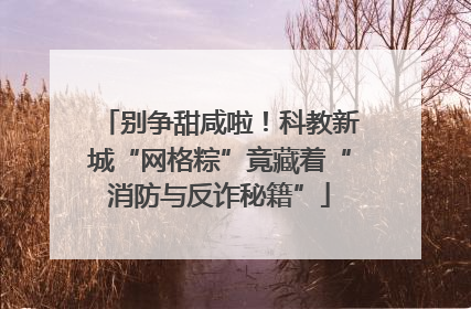 别争甜咸啦！科教新城“网格粽”竟藏着“消防与反诈秘籍”