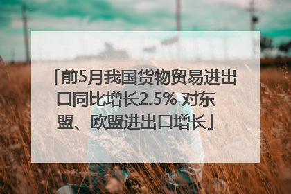 前5月我国货物贸易进出口同比增长2.5% 对东盟、欧盟进出口增长