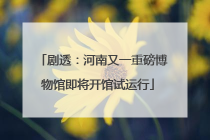 剧透：河南又一重磅博物馆即将开馆试运行