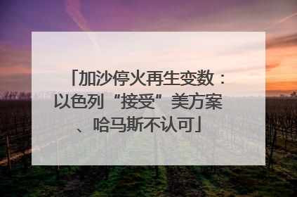 加沙停火再生变数：以色列“接受”美方案、哈马斯不认可