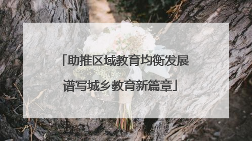 助推区域教育均衡发展 谱写城乡教育新篇章