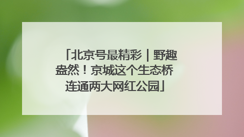 北京号最精彩｜野趣盎然！京城这个生态桥连通两大网红公园