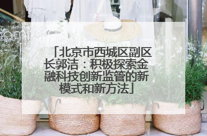 北京市西城区副区长郭洁：积极探索金融科技创新监管的新模式和新方法