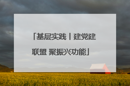 基层实践丨建党建联盟 聚振兴功能
