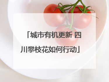 城市有机更新 四川攀枝花如何行动