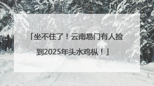 坐不住了！云南易门有人捡到2025年头水鸡枞！