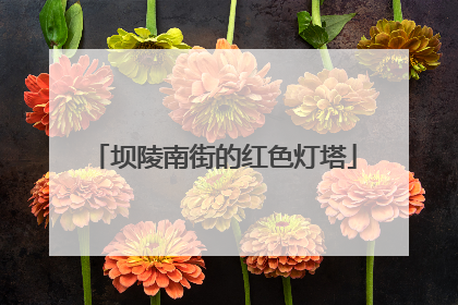 坝陵南街的红色灯塔