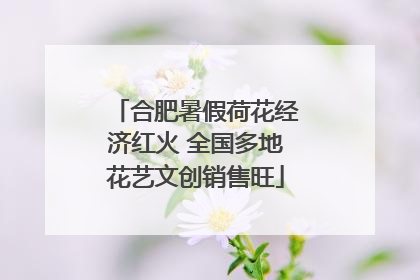 合肥暑假荷花经济红火 全国多地花艺文创销售旺