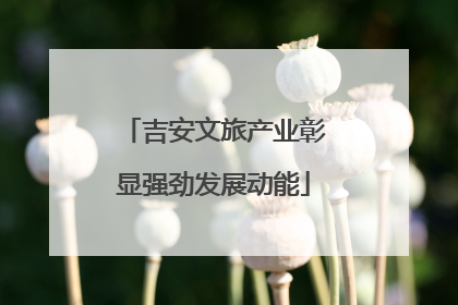 吉安文旅产业彰显强劲发展动能