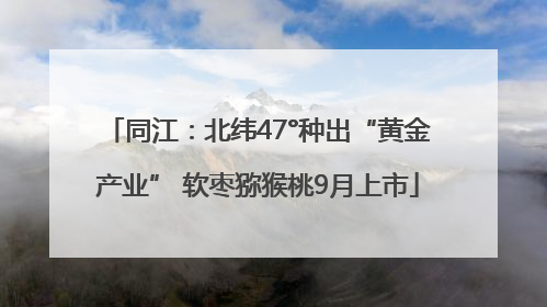 同江：北纬47°种出“黄金产业” 软枣猕猴桃9月上市