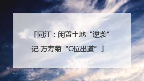 同江：闲置土地“逆袭”记 万寿菊“C位出道”