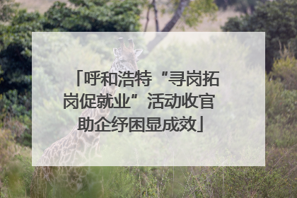 呼和浩特“寻岗拓岗促就业”活动收官 助企纾困显成效