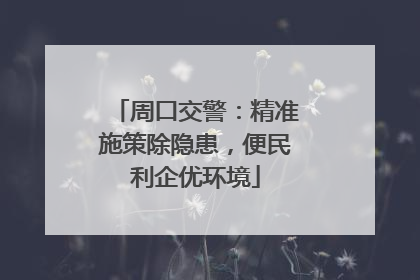 周口交警：精准施策除隐患，便民利企优环境