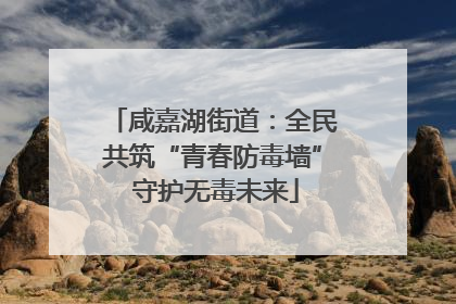 咸嘉湖街道：全民共筑“青春防毒墙” 守护无毒未来