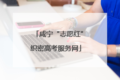 咸宁“志愿红”织密高考服务网