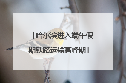 哈尔滨进入端午假期铁路运输高峰期