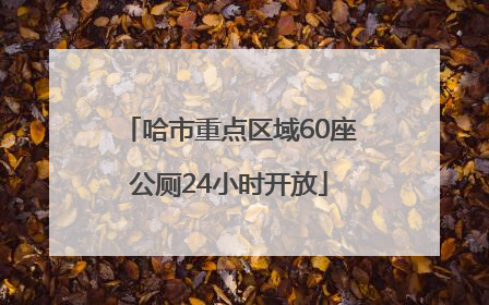 哈市重点区域60座公厕24小时开放