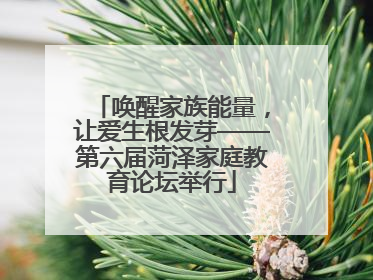 唤醒家族能量，让爱生根发芽——第六届菏泽家庭教育论坛举行