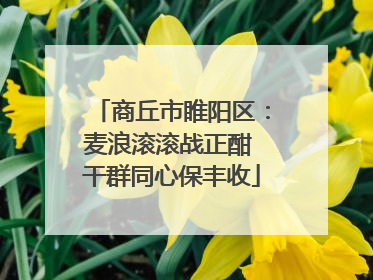 商丘市睢阳区：麦浪滚滚战正酣 干群同心保丰收