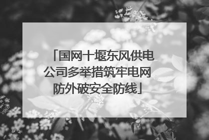 国网十堰东风供电公司多举措筑牢电网防外破安全防线