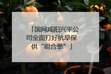 国网咸阳兴平公司全面打好抗旱保供“组合拳”