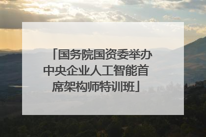 国务院国资委举办中央企业人工智能首席架构师特训班