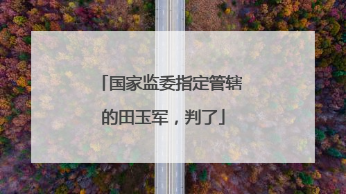 国家监委指定管辖的田玉军，判了