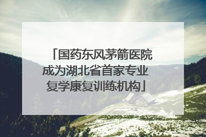 国药东风茅箭医院成为湖北省首家专业复学康复训练机构