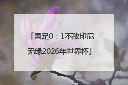 国足0：1不敌印尼 无缘2026年世界杯