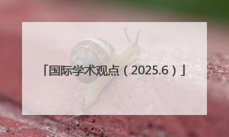 国际学术观点（2025.6）